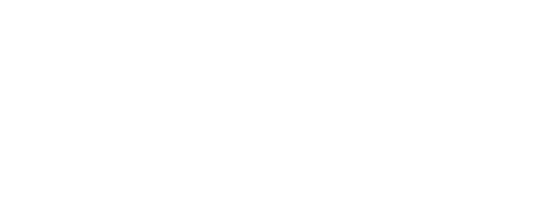 lawyer